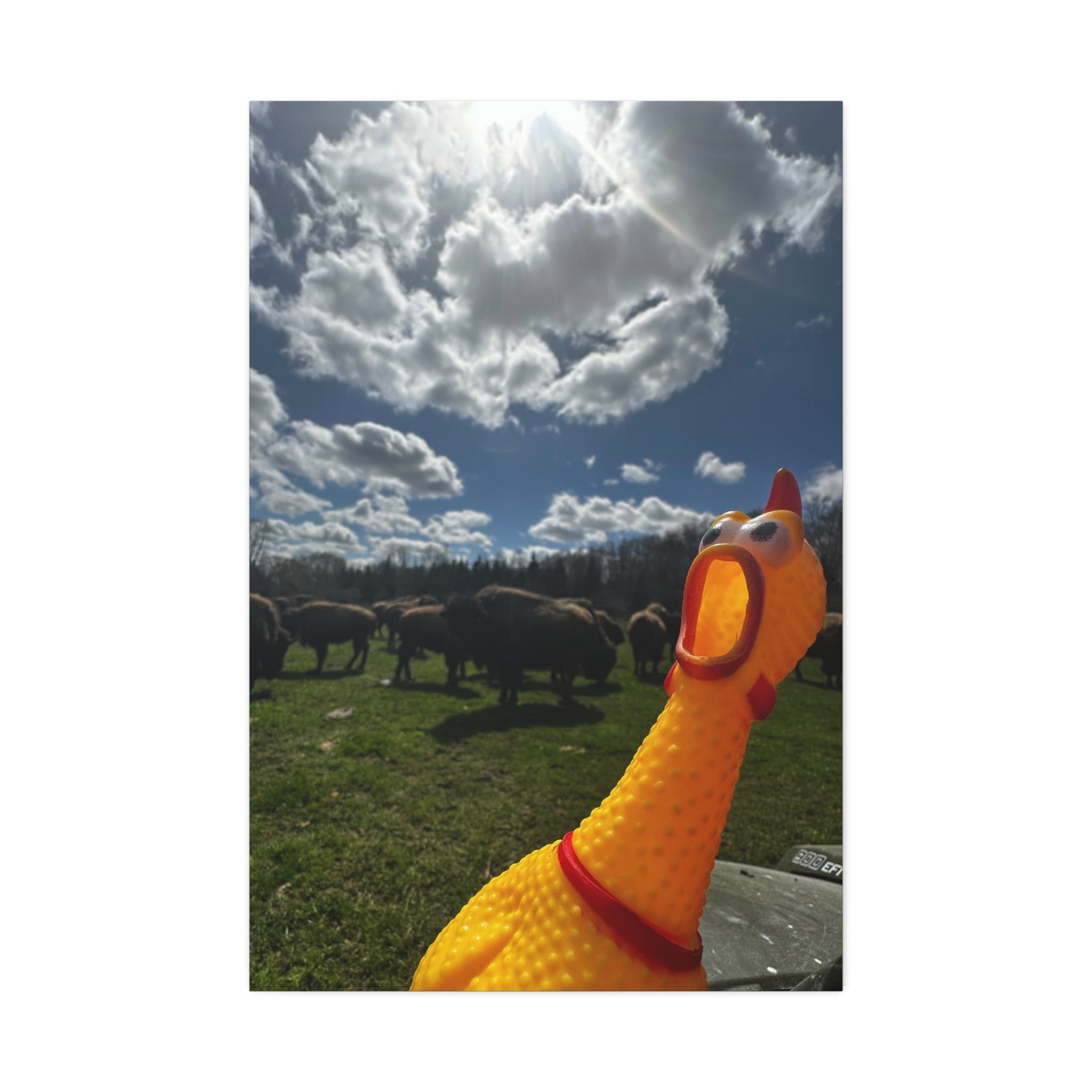 Silly Rubber Chicken Canvas Print – Farm Scene Stretched Wall Art