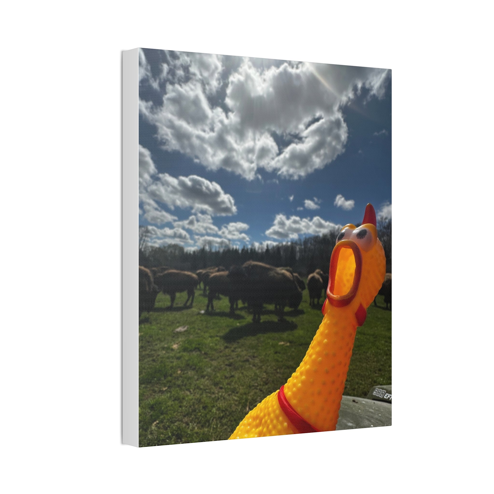 Silly Rubber Chicken Canvas Print – Farm Scene Stretched Wall Art