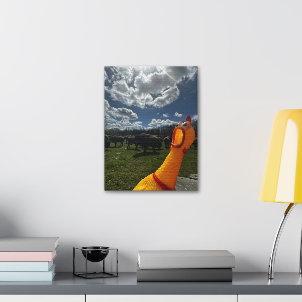 Silly Rubber Chicken Canvas Print – Farm Scene Stretched Wall Art