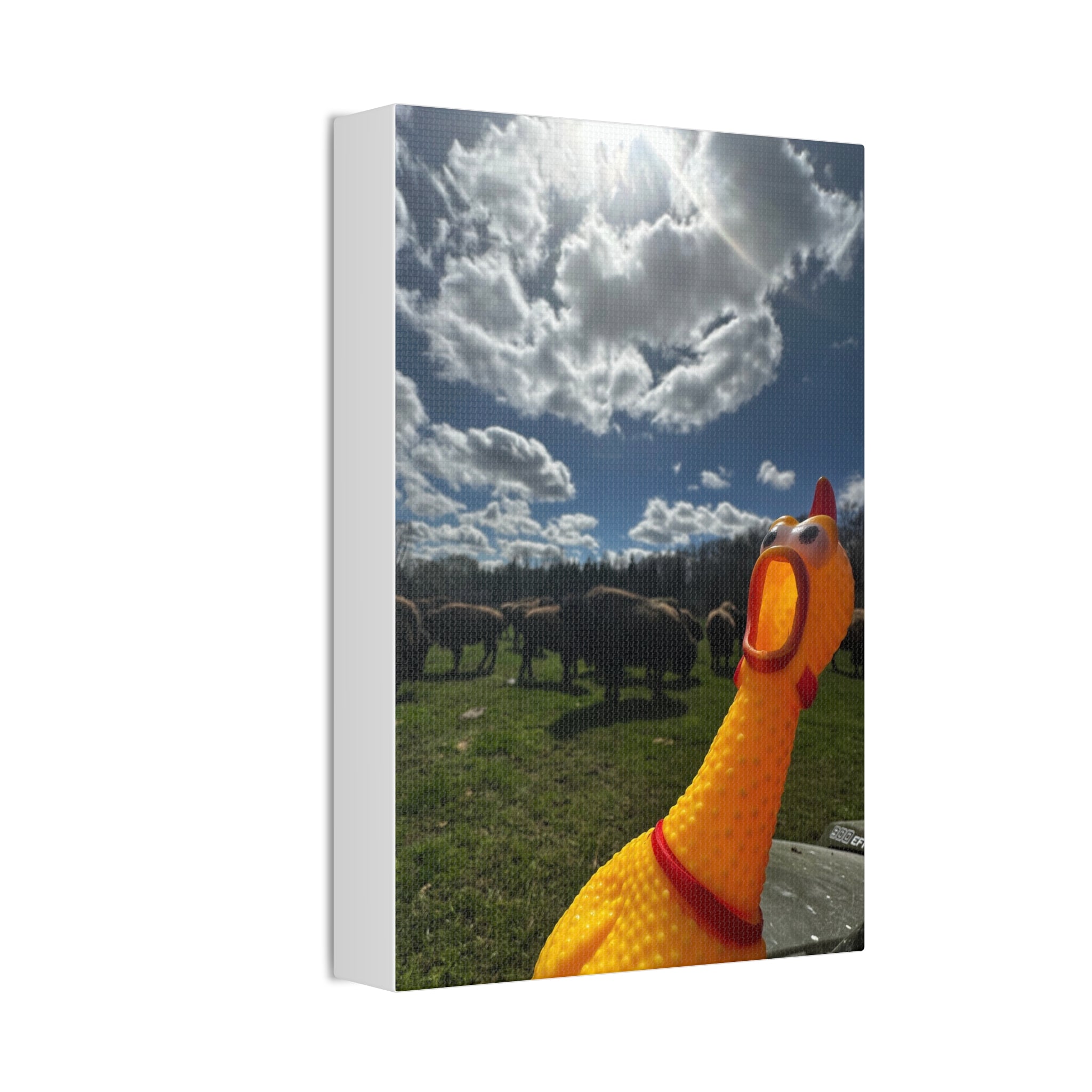 Silly Rubber Chicken Canvas Print – Farm Scene Stretched Wall Art