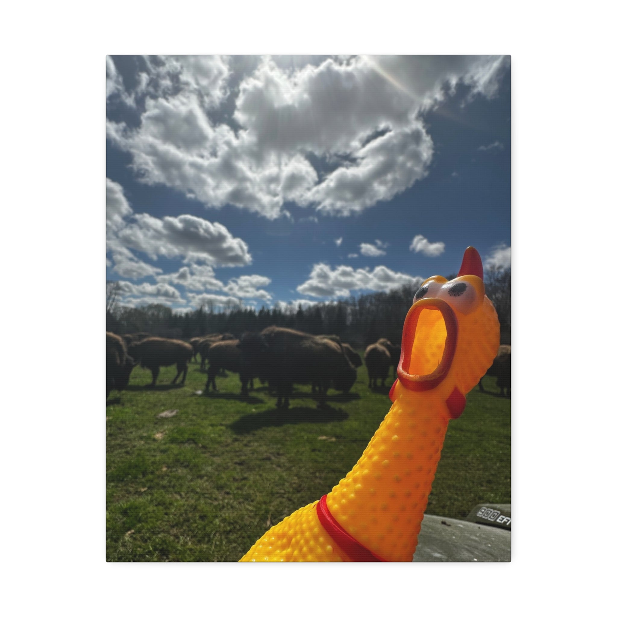 Silly Rubber Chicken Canvas Print – Farm Scene Stretched Wall Art