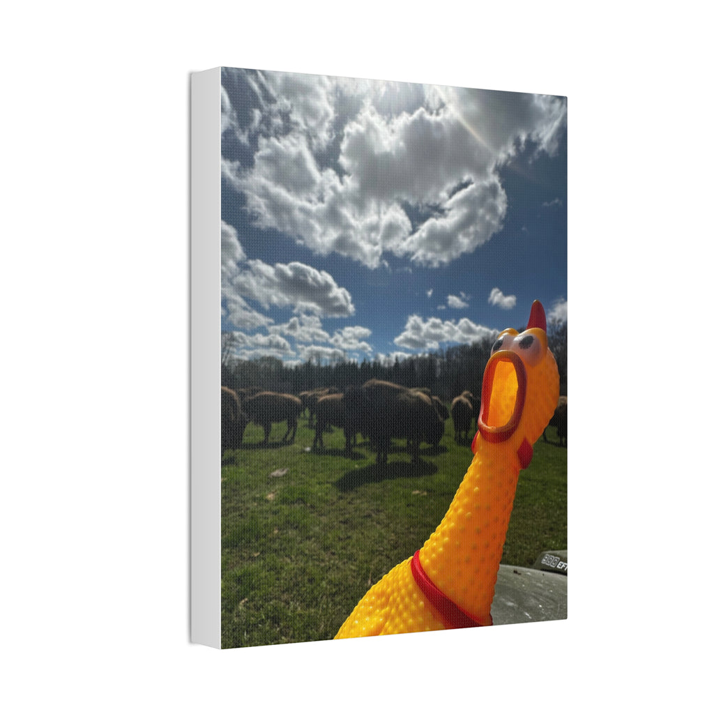 Silly Rubber Chicken Canvas Print – Farm Scene Stretched Wall Art