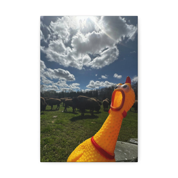 Silly Rubber Chicken Canvas Print – Farm Scene Stretched Wall Art