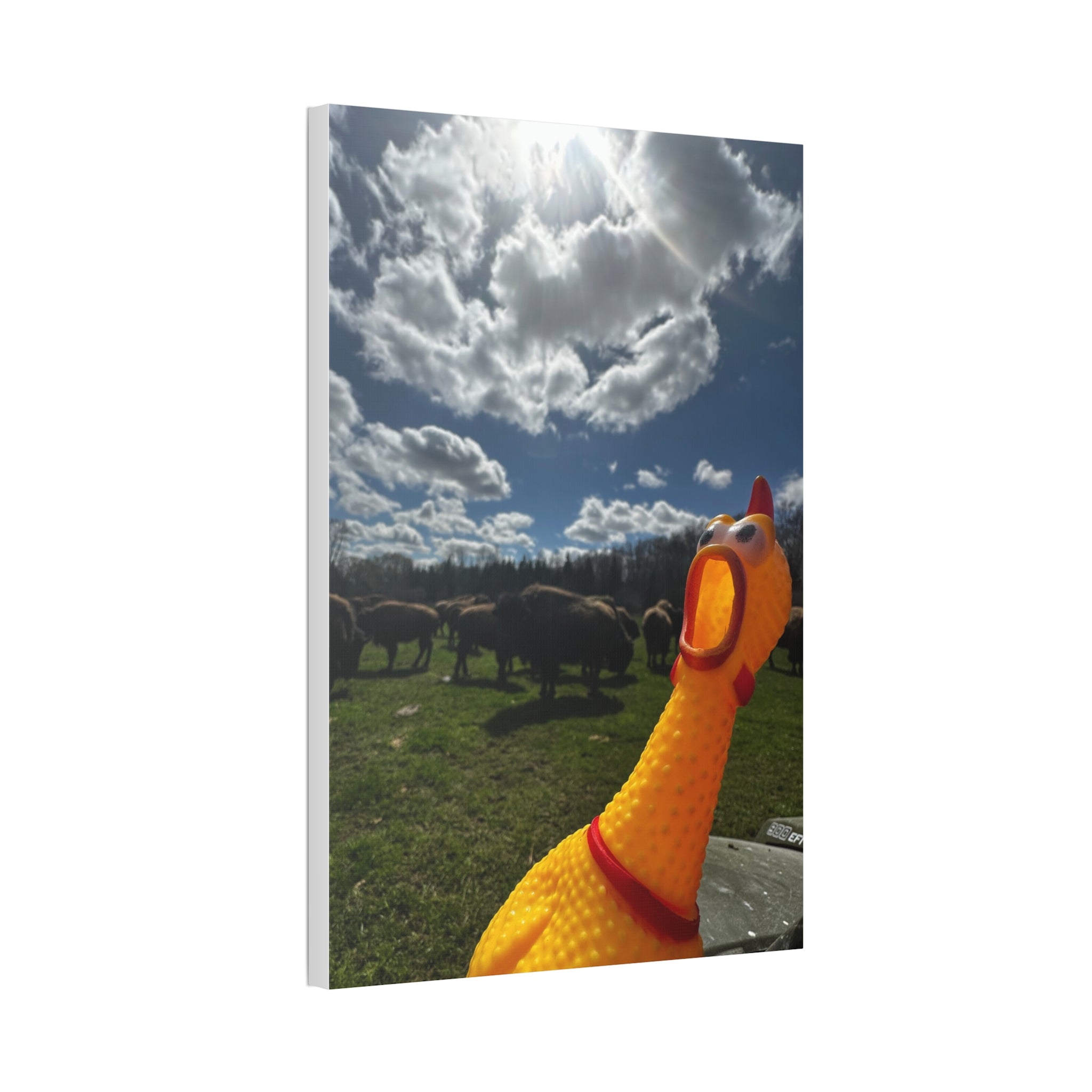 Silly Rubber Chicken Canvas Print – Farm Scene Stretched Wall Art