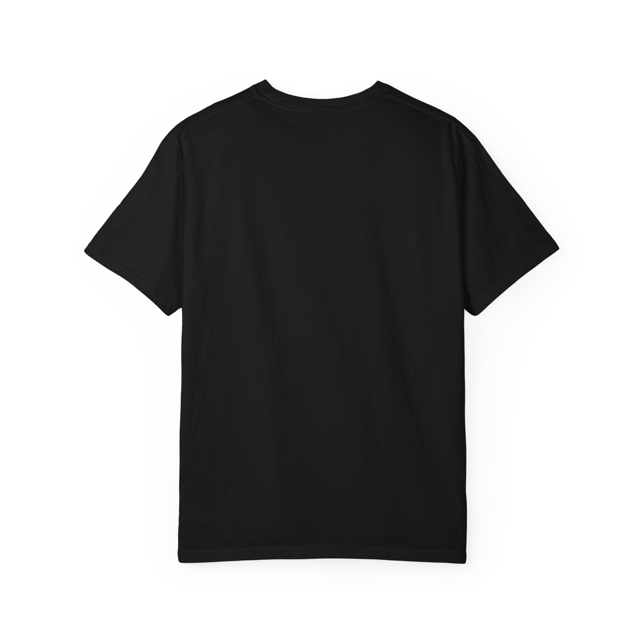 Copy of Chicken Travels Vintage Travel T-Shirt — "The Adventures of Chicken Travels" Tee