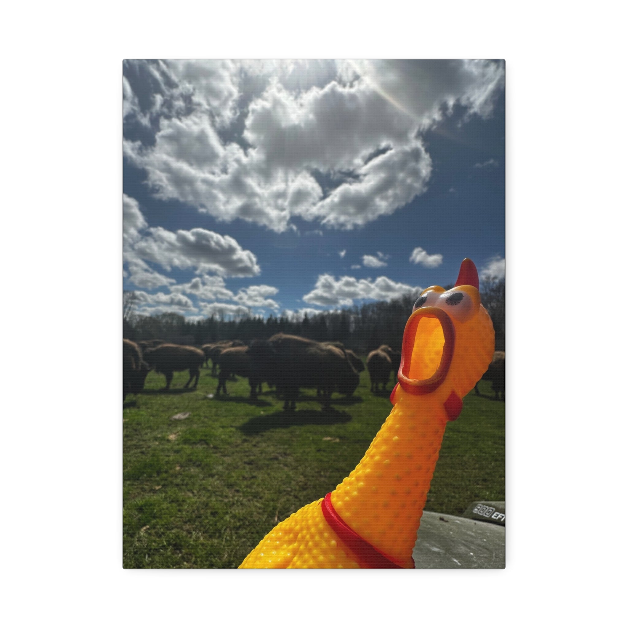 Silly Rubber Chicken Canvas Print – Farm Scene Stretched Wall Art