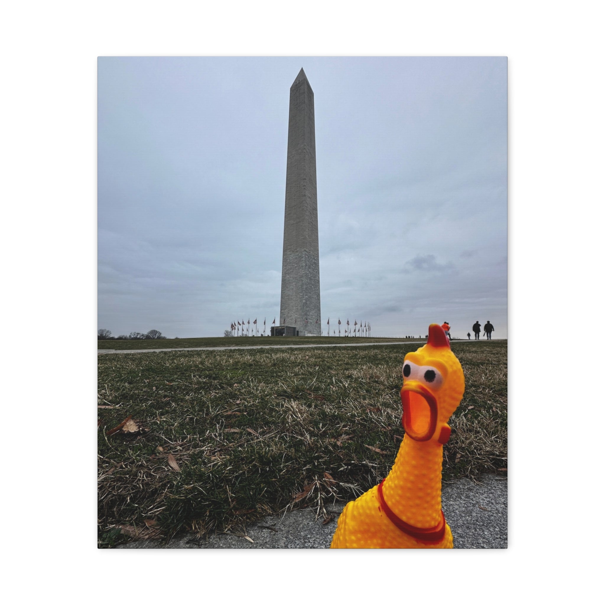 Rubber Chicken at the Washington Monument — Matte Canvas Wall Art