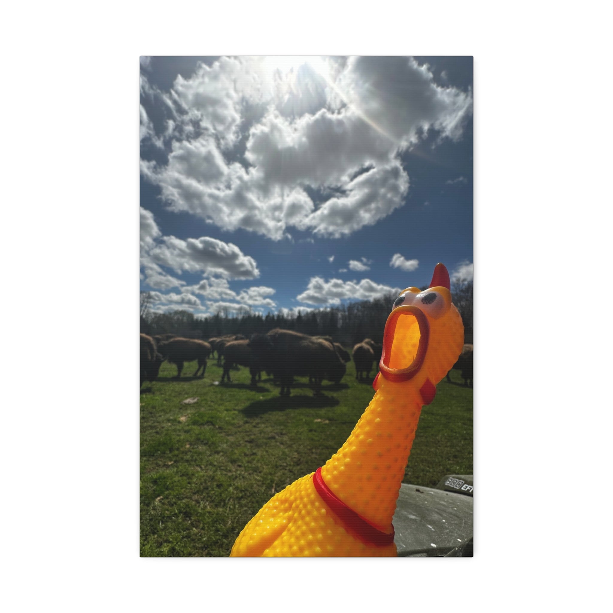 Silly Rubber Chicken Canvas Print – Farm Scene Stretched Wall Art