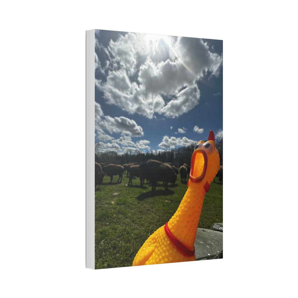 Silly Rubber Chicken Canvas Print – Farm Scene Stretched Wall Art