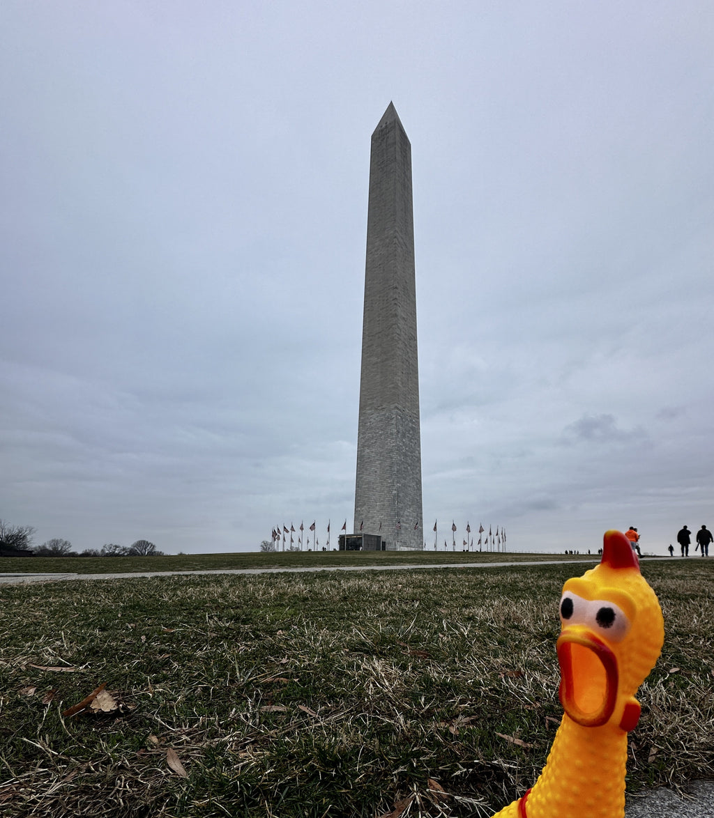 The Adventures of Chicken Travels | Educational Travel Books for Kids