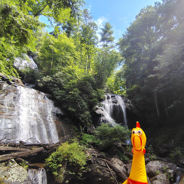 Anna Ruby Falls