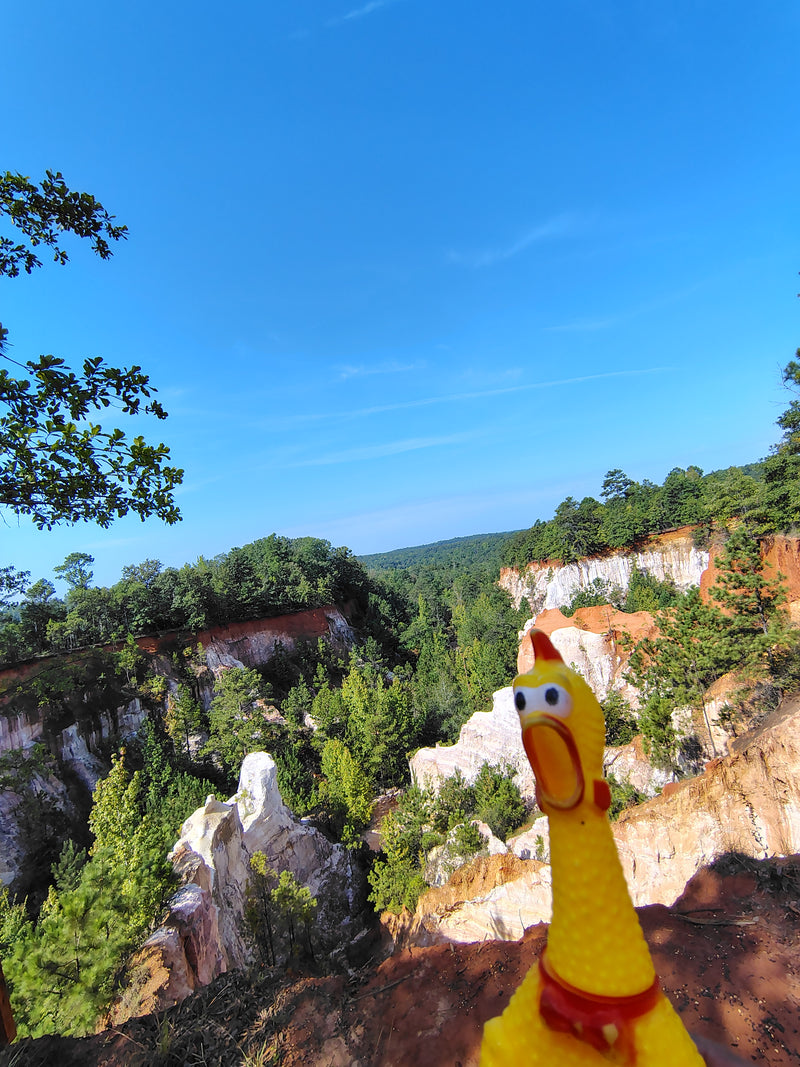 Providence Canyon