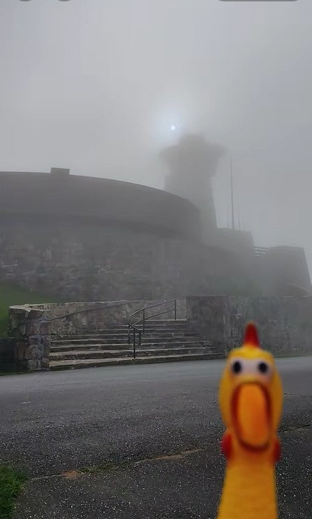 Brasstown Bald